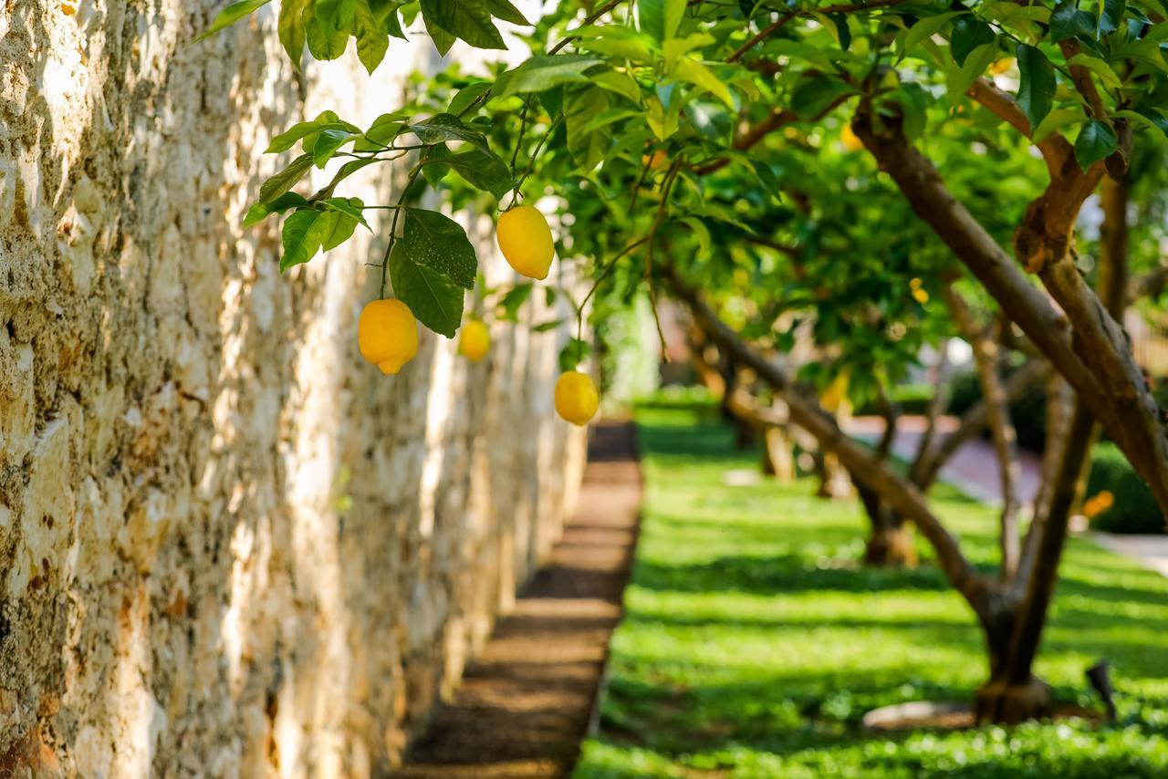 Hotel Lemongarden - Adults Only スティヴァン エクステリア 写真